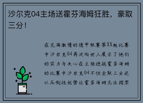 沙尔克04主场送霍芬海姆狂胜，豪取三分！